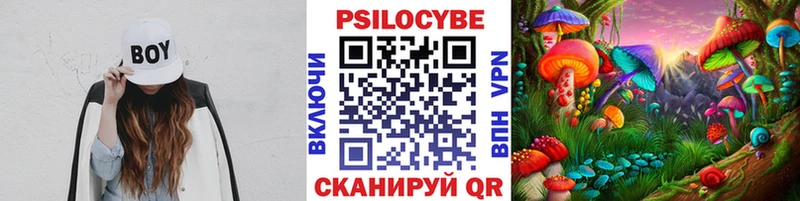 Галлюциногенные грибы мухоморы Чита