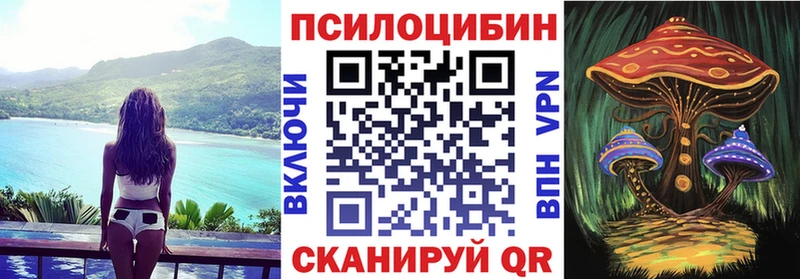 как найти наркотики  Чита  Псилоцибиновые грибы Psilocybine cubensis 