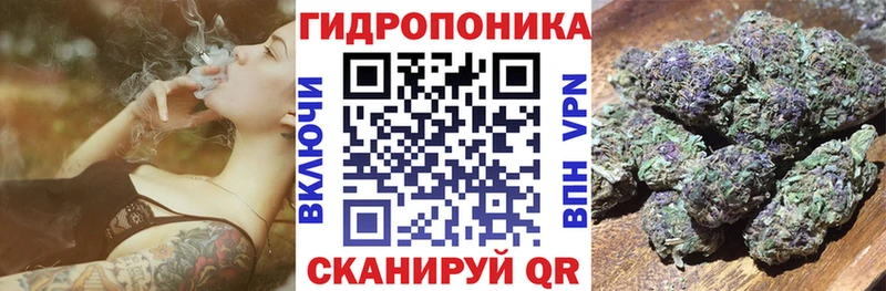 Конопля Bruce Banner  сколько стоит  Чита 